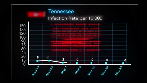 0529 - Tennessee Vídeos de archivo 132118305