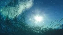 Underwater Angle of Tropical Blue Ocean Wave Crashing