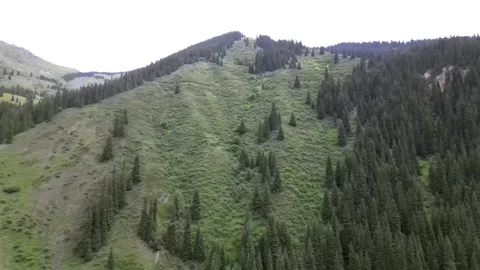 053 Video stock 246019623