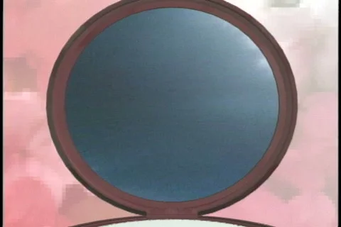 0530 Makeup Case  Stock Footage 666452