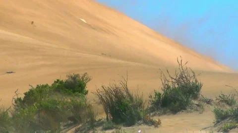0533 Sand storm Stock Footage 35684973