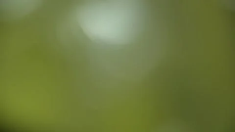 053_Abstract blurred colors and light bokeh.mp4 Video stock 343765785
