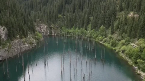 054 Video stock 246019625