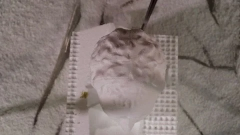 054 production of a 3d model of the head made of foam on a five-axis cnc mac Stock Footage 154897563