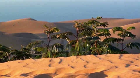 0540 Sunset Dunes Stock Footage 35694939