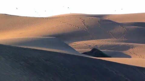 0543 Sunset dunes Stock Footage 35694113