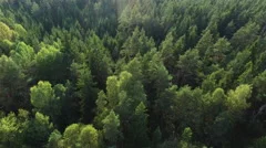Aerial drone shot over the north european forest