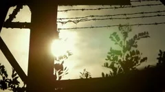 the sun over the prison: fence with barbed wire