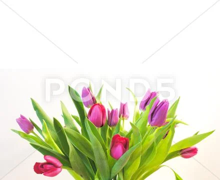  Stock Photos