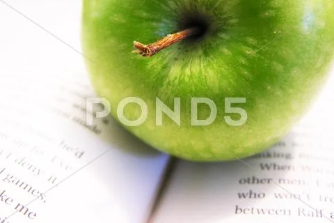  Stock Photos