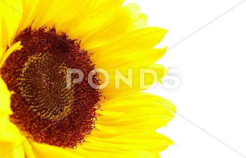  Stock Photos