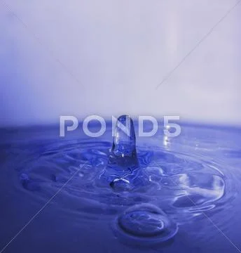  Stock Photos