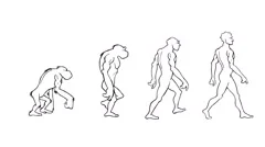 Human evolution morph. Loopable. Alpha matte. From the ape to the homo-sapiens.