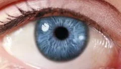 Zoom in from a blue human eye to a neuron cell network animation. Technology.