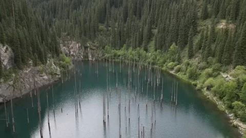 055 Video stock 246019621