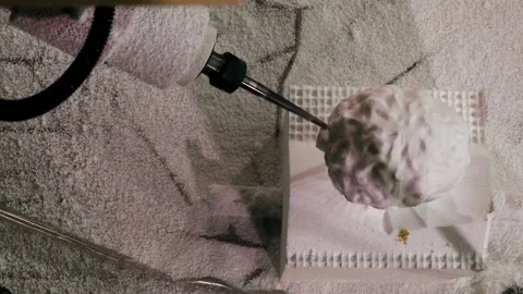 055 production of a 3d model of the head made of foam on a five-axis cnc mac Stock Footage 154897569