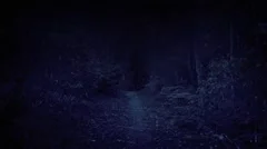 Scary POV Going Through The Woods At Night