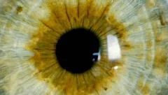 female green eye close up extreme macro zoom in iris
