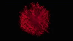 Colorful particles fly after exploded. Slow Motion. Unedited version included.