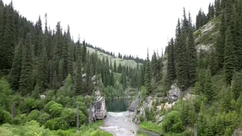 056 Video stock 246072144