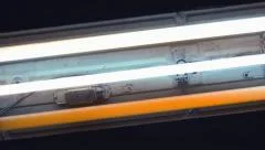 Fluorescent neon light tubes switching on and off