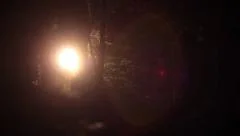 Flashlight searching spooky woods at night in rain