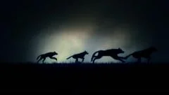 A Large Pack of Wolves Running on a Dark Stormy Night