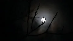 Full moon disappears behind fast spooky clouds focus pull