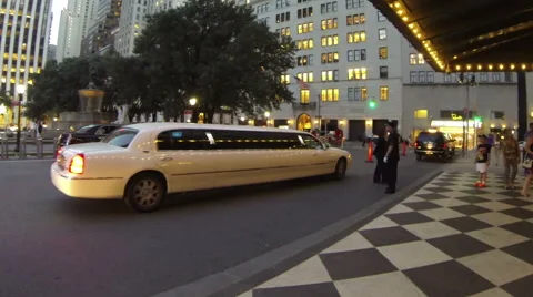 0578 Limousine in Central Park Video stock 44559271