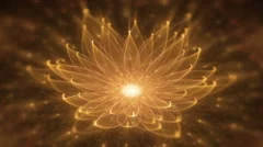 Radiant Orange Lotus, Water Lily, Enlightenment or Meditation