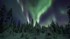 Aurora Borealis (Northern Lights) in Lappland forest
