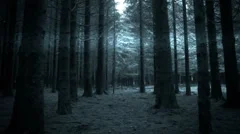 Horror scene.The woman in black dress in the forest.