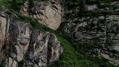 059 Video stock 246072395