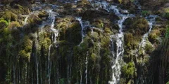 Streams of water trickling over ledge of mossy rocks