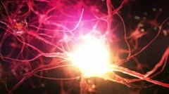 Journey  through a neuron cell network inside the brain. Red. Loopable. Synapse.