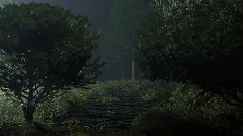 	06 Evening Wild Forest Landscape - Stream Flowing in the Late Night Forest Stock Illustration