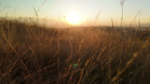 06 Slomo panning through dry withered autumn grass at sunset 스톡 동영상 289406035