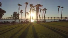 4k San Diego Palm Trees Sun Rise 004 Push In
