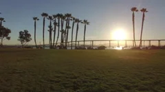 4k San Diego Palm Trees Sun Rise 003 Dolly Left