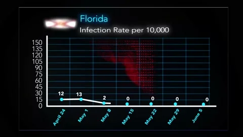 0605 - Florida Video stock 132281459