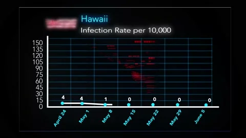 0605 - Hawaii Video stock 132362395