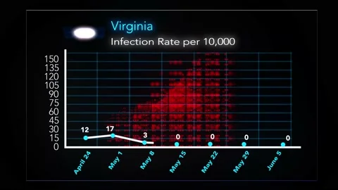 0605 - Virginia Video stock 132281259
