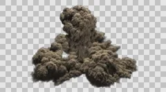 Dust shockwave with mushroom clouds