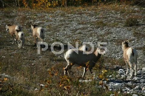 061005-194.jpg Stock Photos
