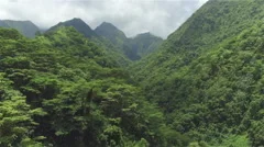 AERIAL: Dense acacia and palm trees forest in mountain jungle