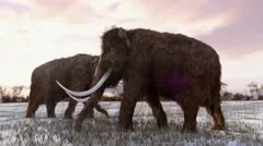 Woolly Mammoths Grazing Animation