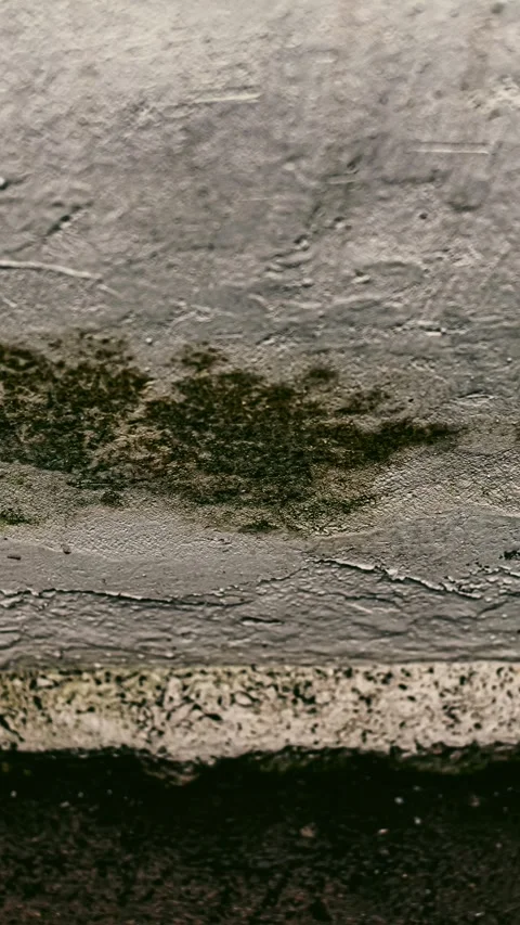 061_Grungy textured concrete with moss patterns.mp4 Stock Footage 345817504