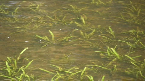 06222010 Stock Footage 855881
