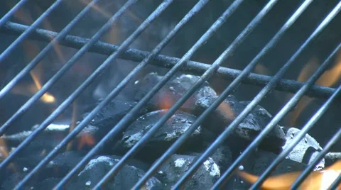 06262010 Stock Footage 1051402