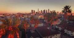 Aerial view downtown Los Angeles skyline revealing through row palm trees 4K UHD